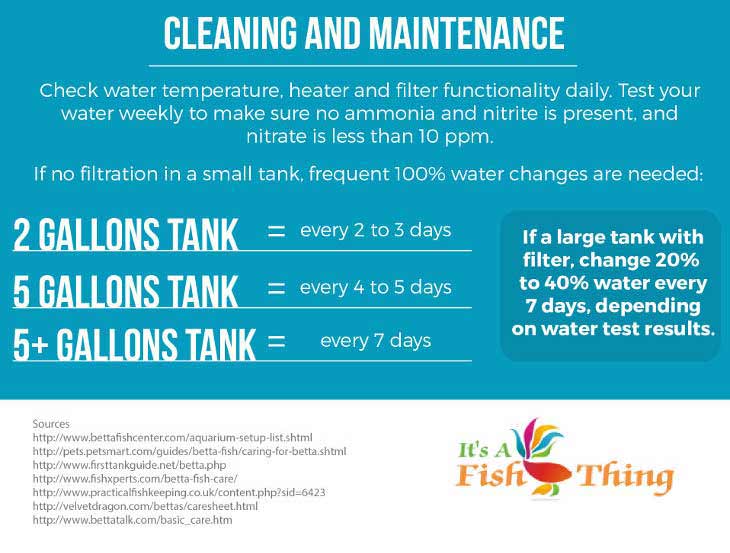 Fish Tank Maintenance Chart
