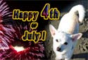 Keep your Pet Safe and Happy this 4th of July