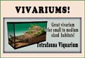 Vivariums, Perfect Homes for Exotic Pets