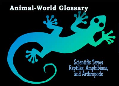 Glossary of terms for reptiles, amphibians, and arthropods