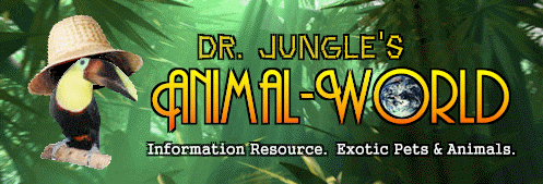 Dr. Jungle's Animal-World.com team member profiles