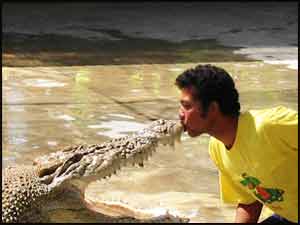 Kissing a crocodile