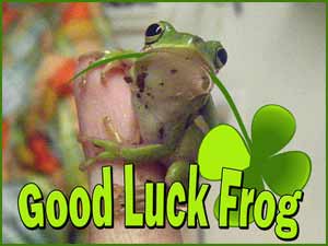 Frog Luck, Bringing Changes and Abundance to Life