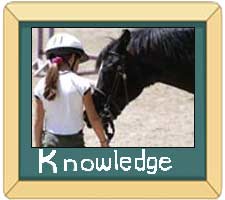 Horse knowledge