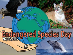 Endangered Species Day 2015, Celebrating Success!