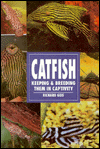 Catfish, Keeping & Breeding Them in Captivity