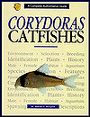 Cordoras Catfish