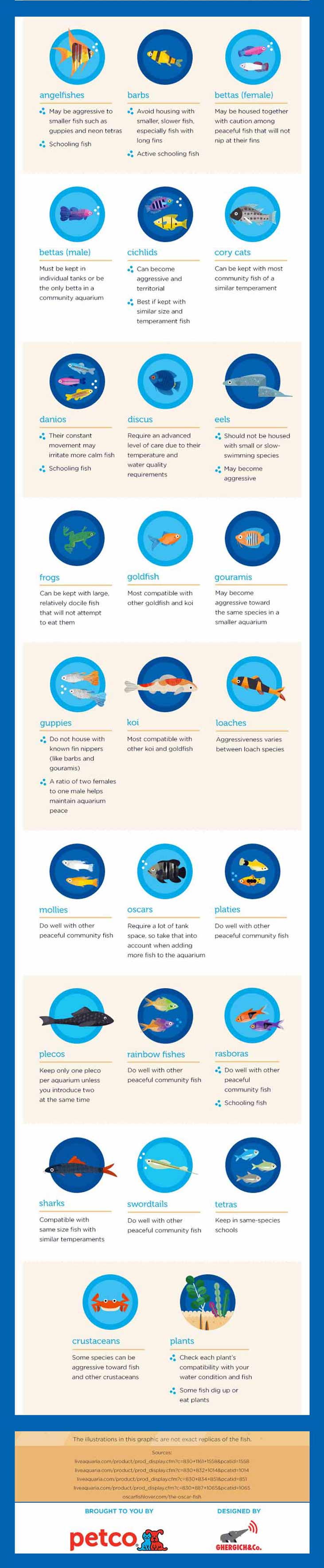 Fish Types Chart