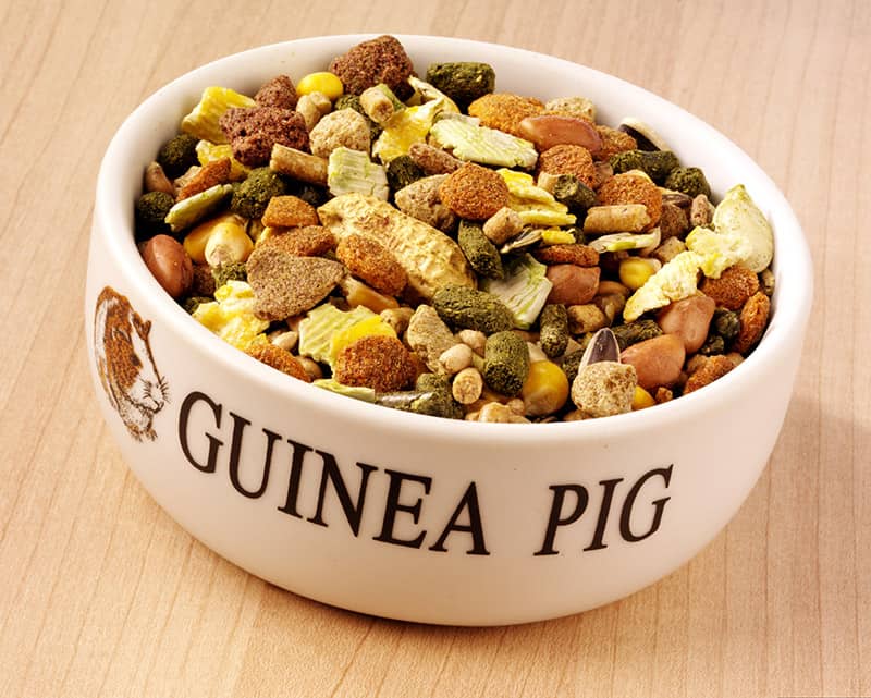 a bowl of guinea pig food