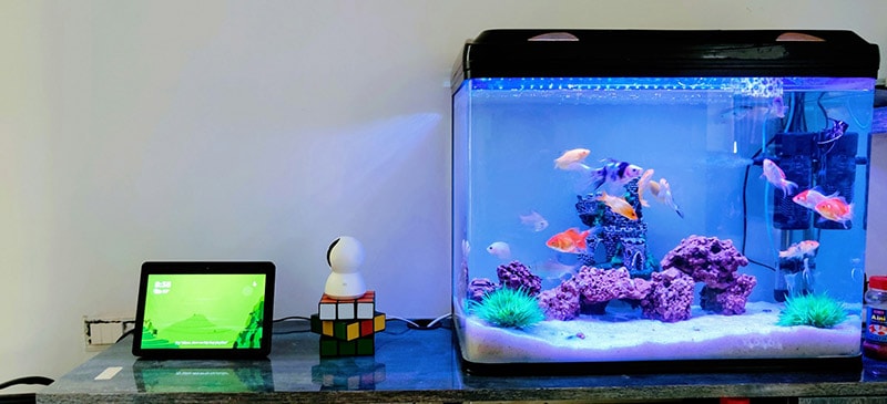 fish tank on the console table