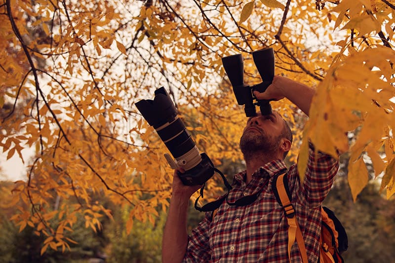 Man using binoculars and camera for bird and animal watching