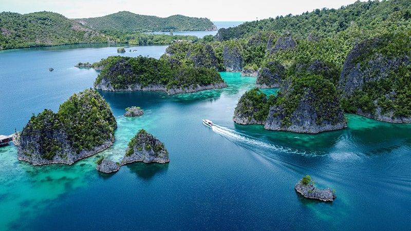 Raja Ampat the heart of the Coral Triangle