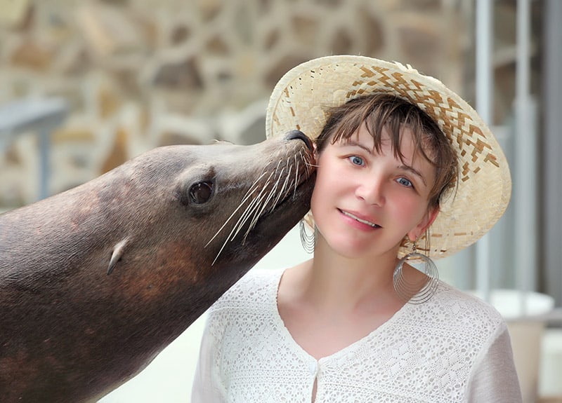 seal kissing a woman