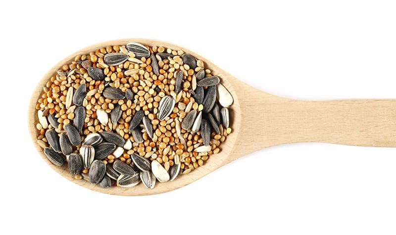 spoonful of Mixed seeds for birds