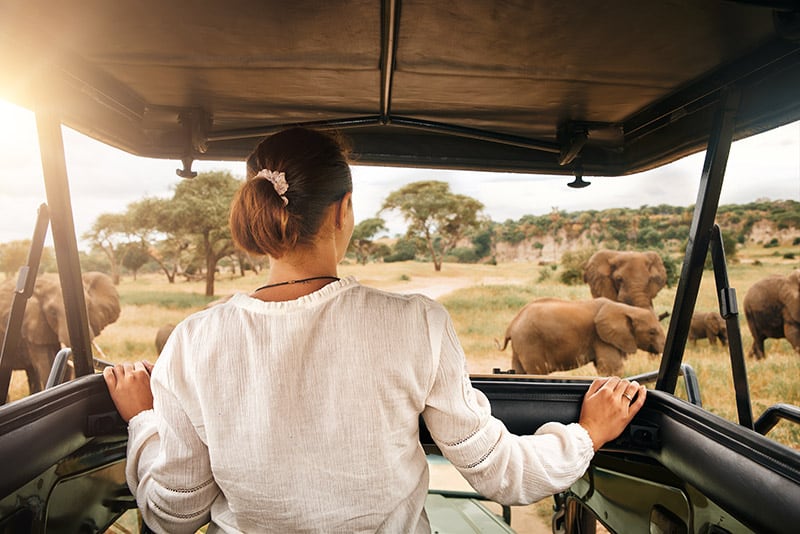 tourist exploring a safari in Africa