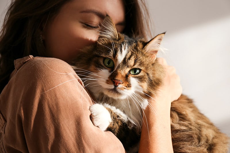woman cuddling her siberian cat