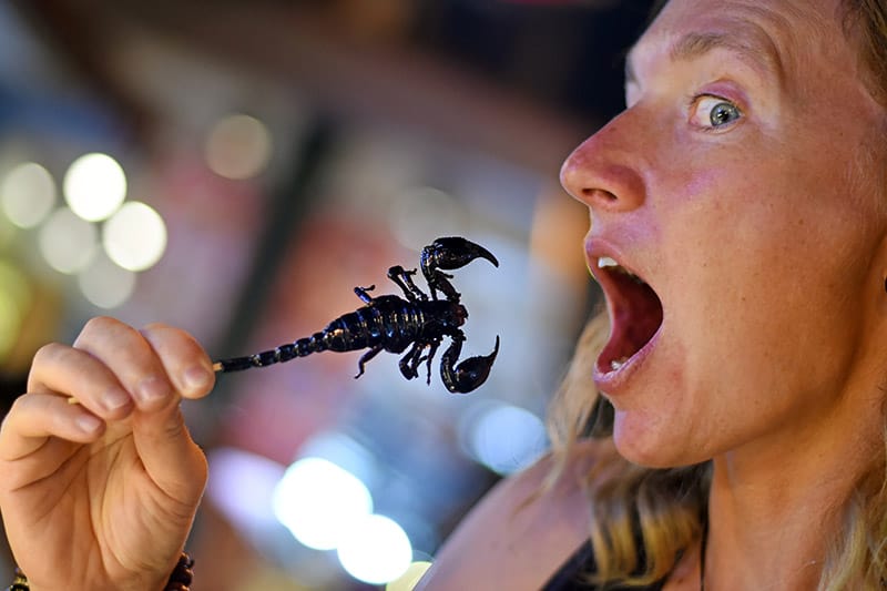 woman going to eat scorpion