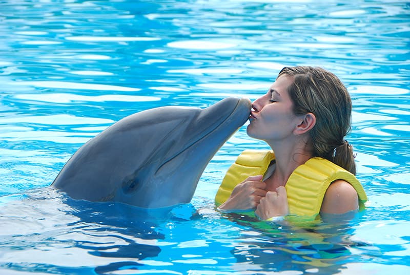 woman kissing dolphin