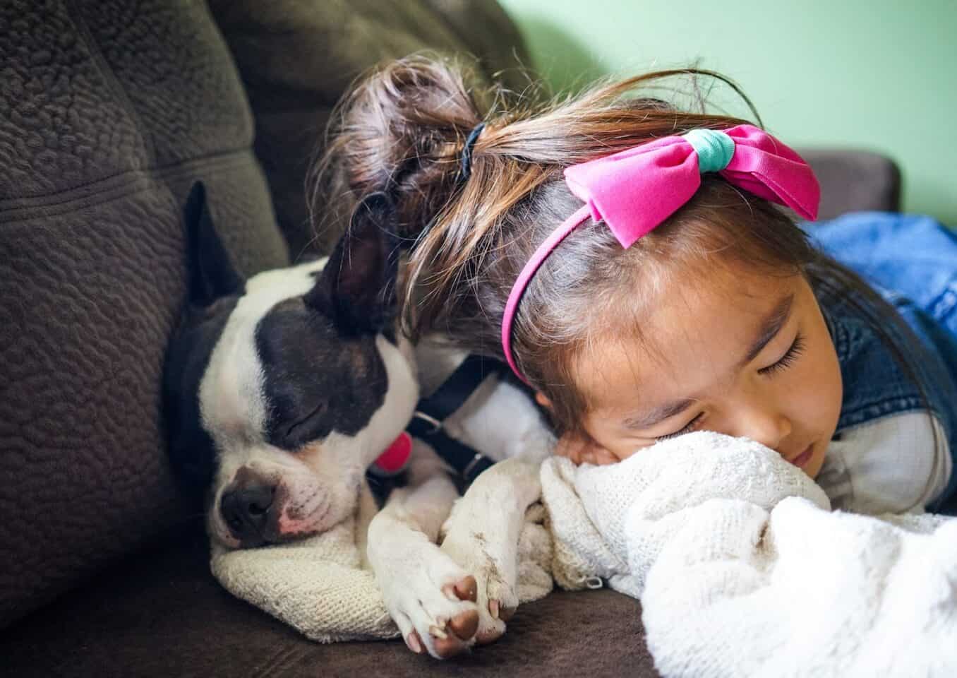 girl sleeping beside a french bulldog on the sofa