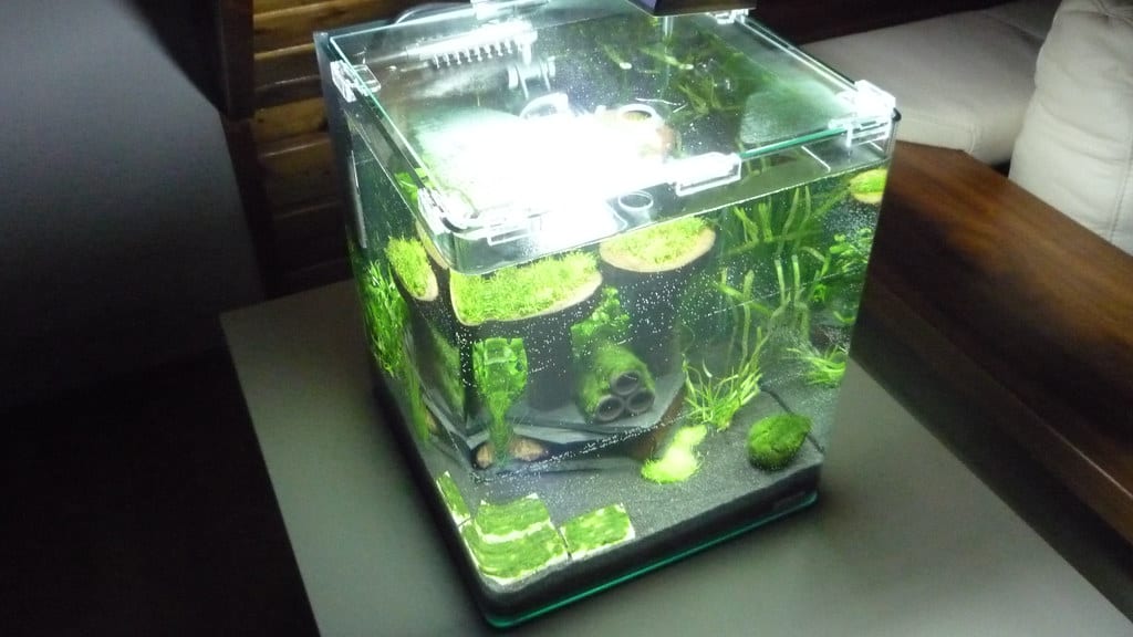 Nano-Aquarium