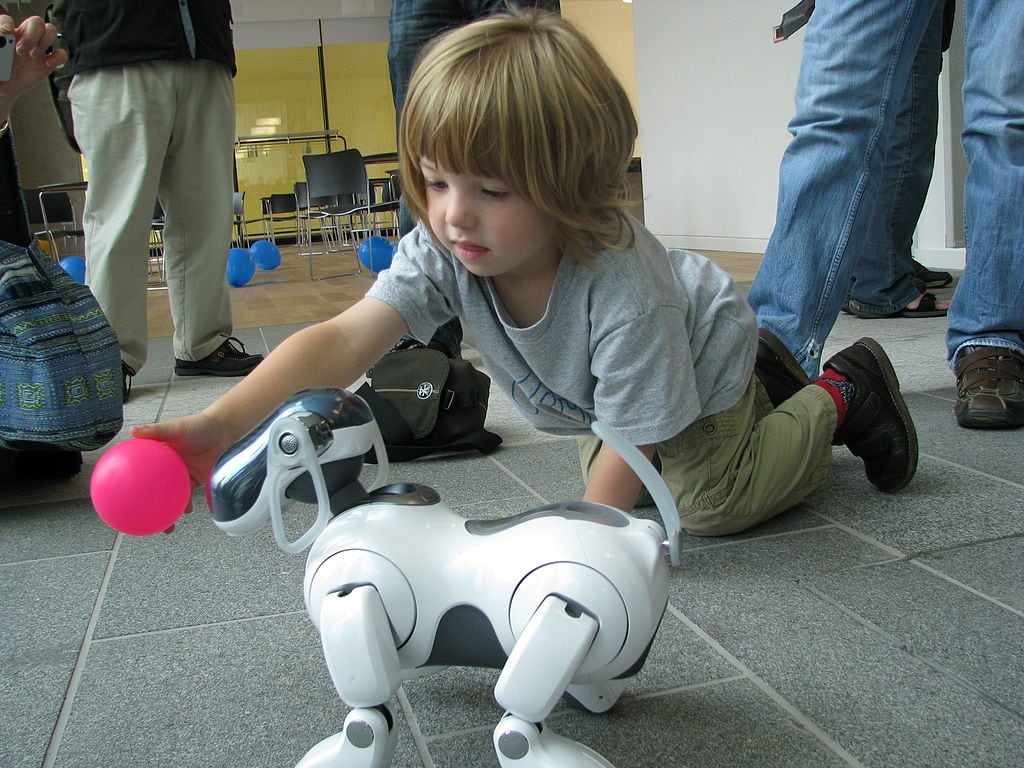 AIBO ERS-7 following pink ball held by child