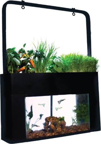 AquaSprouts Garden Self-Sustaining Desktop Aquaponics