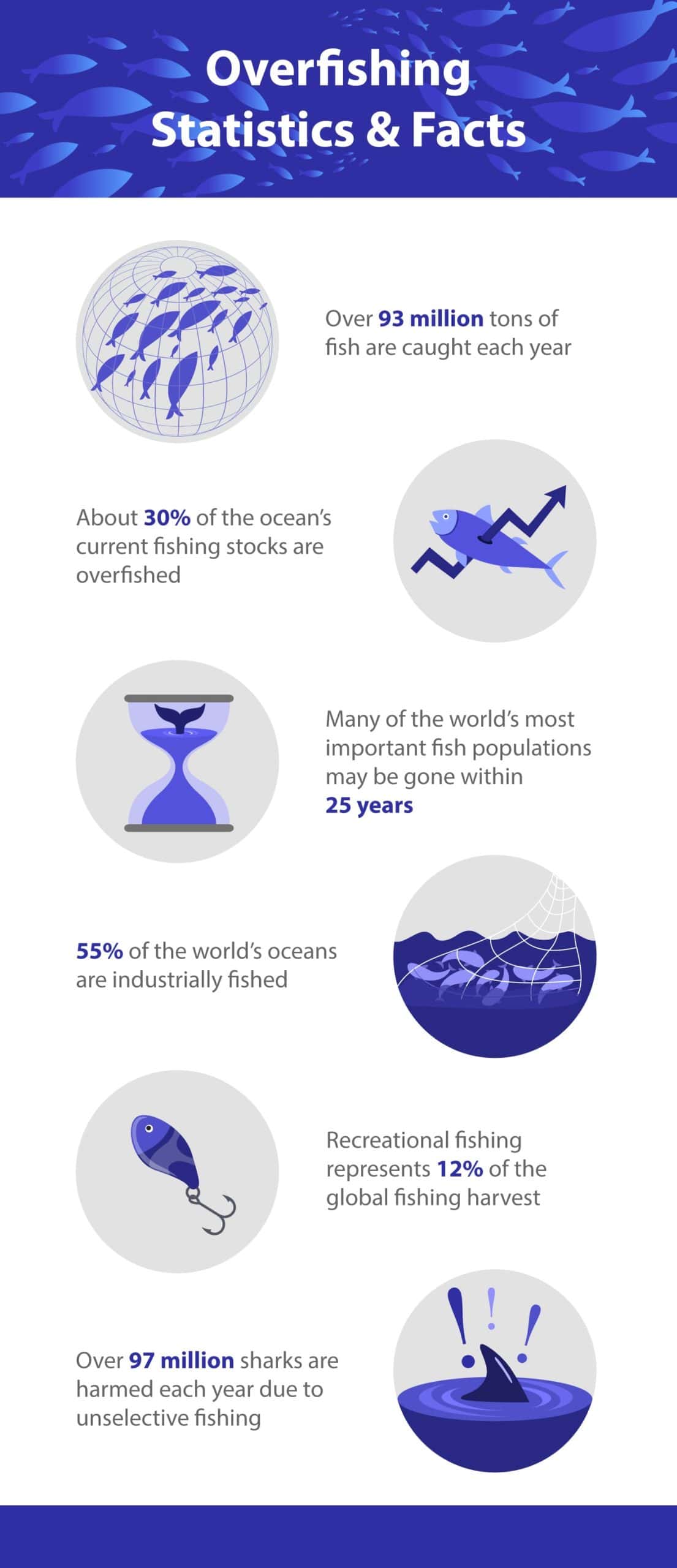 24 Shocking Overfishing Statistics & Facts to Know in 2024 Animal World