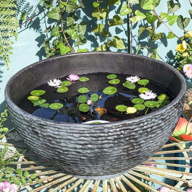 Sungmor 16 Inch Large Size Water Plant Pot
