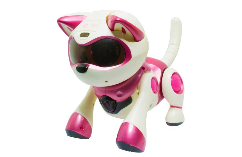 a pink robot cat pet