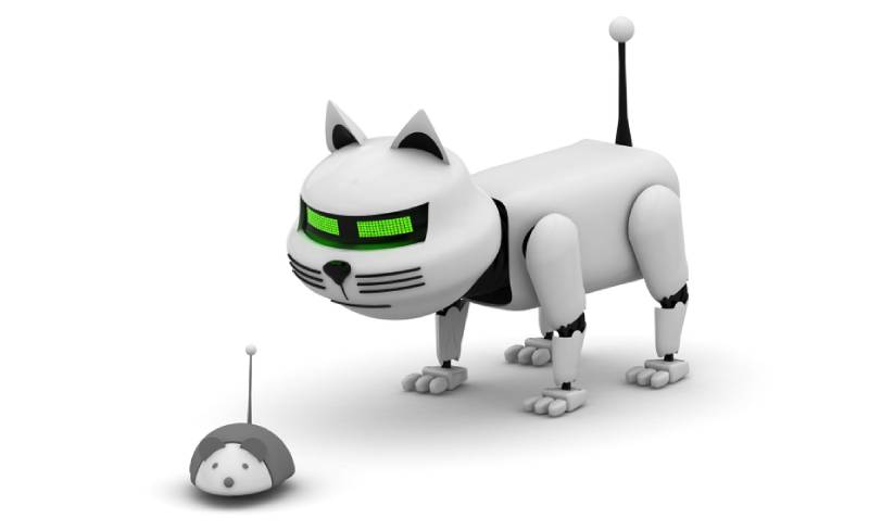 a robot cat and mouse on white background