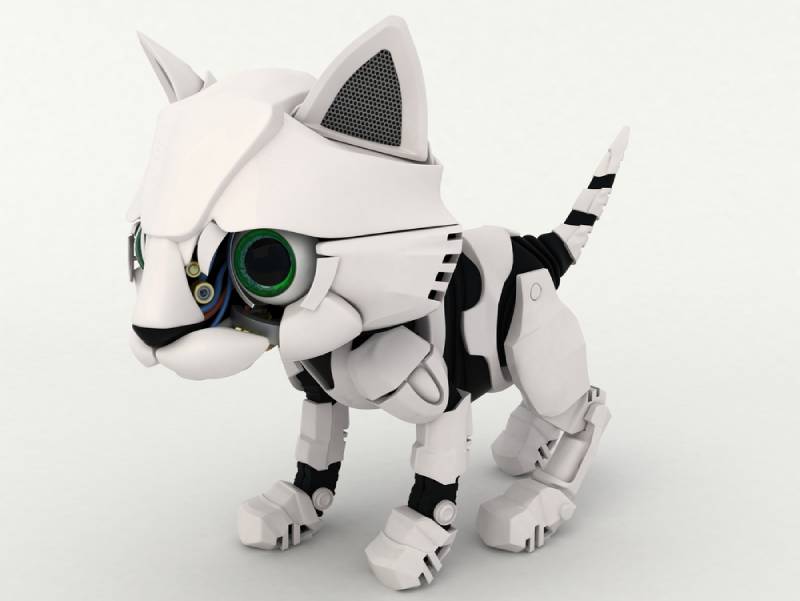 a robot cat model