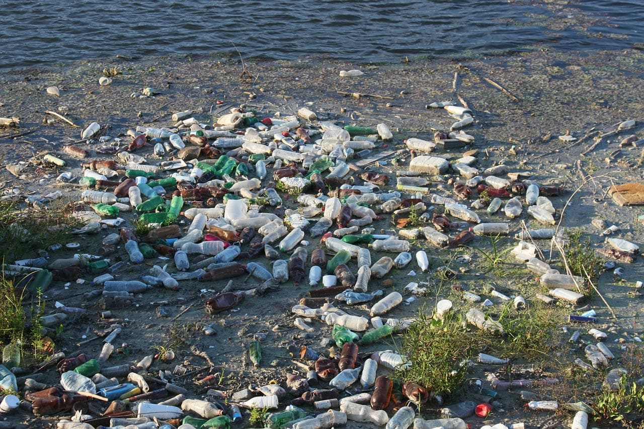 bottles on the shore