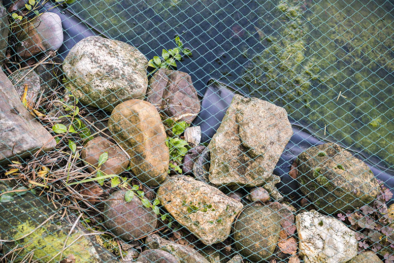 mini garden fish pond covered with net