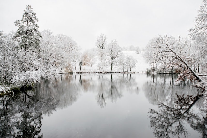 snowy pond in winter