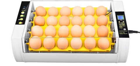 24 Eggs Incubator, Automatic Poultry Hatcher Machine_Amazon