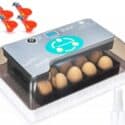 Apdo Egg Incubator