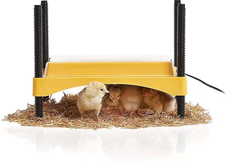 Brinsea EcoGlow Safety 600 Chick and Duckling Brooder