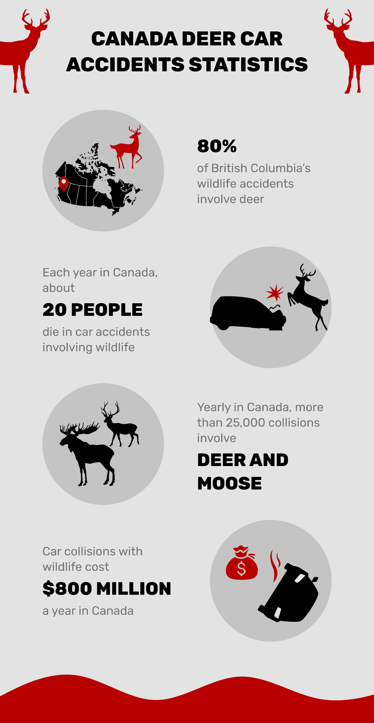 canada deer accident stats