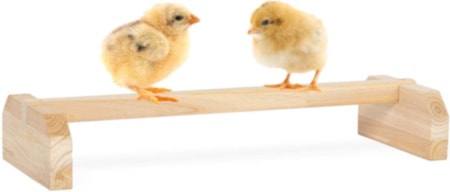 Chick Roosting Bar Prevent Rotation Design