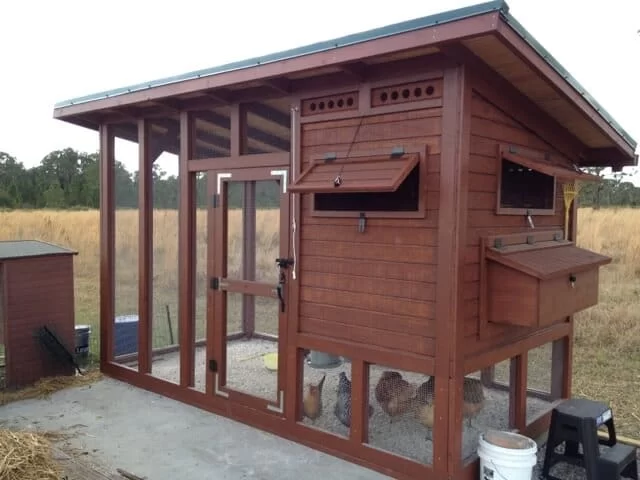 Chicken Palace Coop