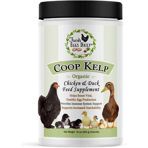 Coop Kelp Organic Chicken and Duck Feed Supplement