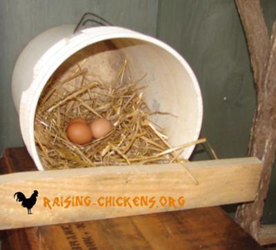 DIY 5 Gallon Bucket Nesting Box