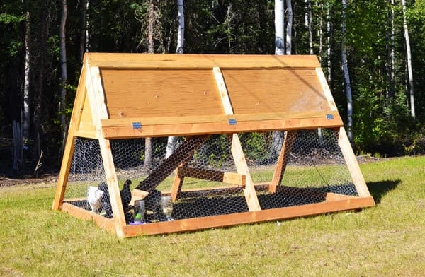DIY A-frame chicken coop and run