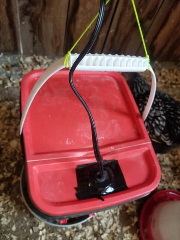 DIY Backyard Chickens Heated Waterer