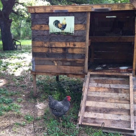 DIY Chicken Coop from pallets and scrapes