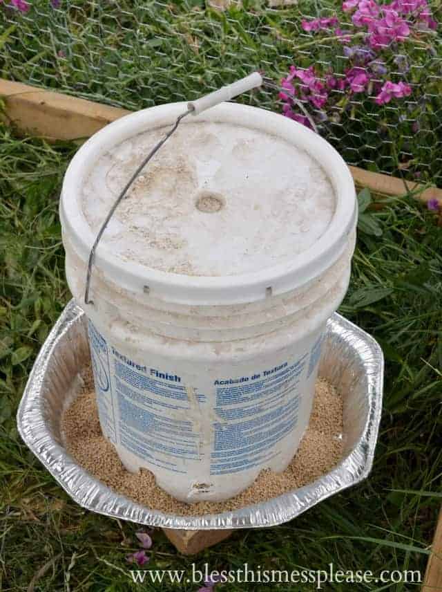 DIY Chicken Feeder From 5-Gallon Bucket