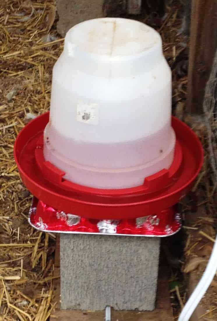 DIY Chicken Water Heater 