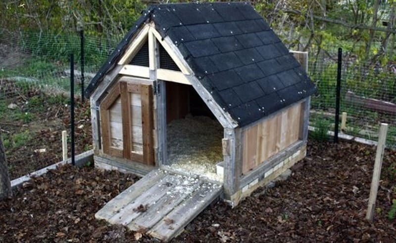 DIY Duck House