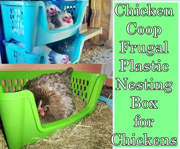 DIY Frugal Farmers Plastic Nesting Boxes