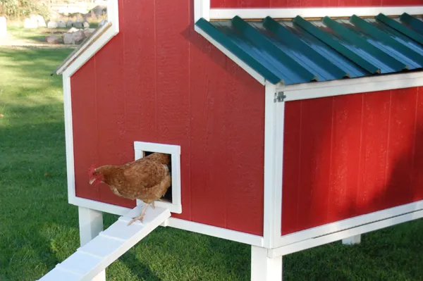 DIY Miniature barn chicken coop